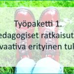 Tutustu tästä linkistä työpakettiin 1