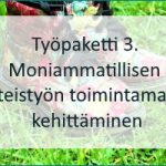 Tutustu tästä linkistä työpakettiin 3